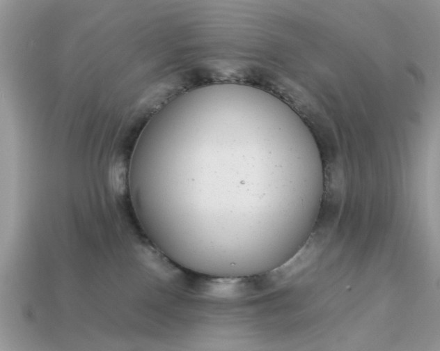 X0000113040090200909101927