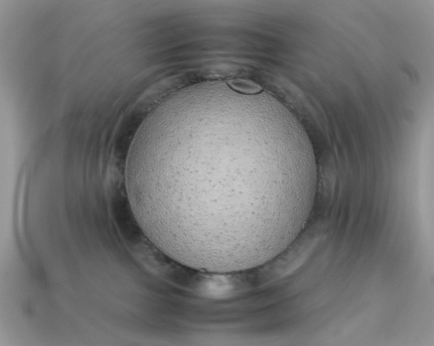 X0000113040091200909101927