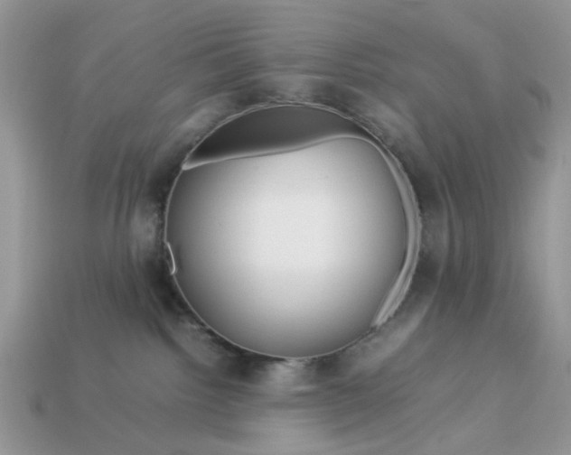 X0000113040092200909101927