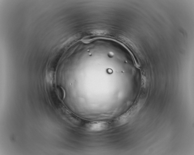 X0000113040093200909101927