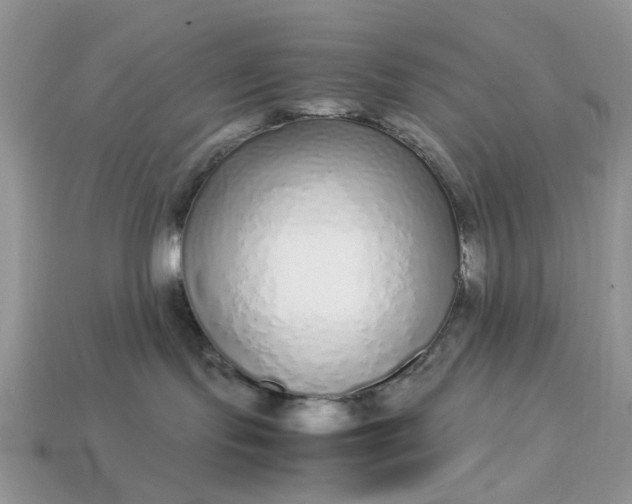X0000113040095200909101927