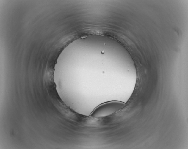 X0000113040096200909101927