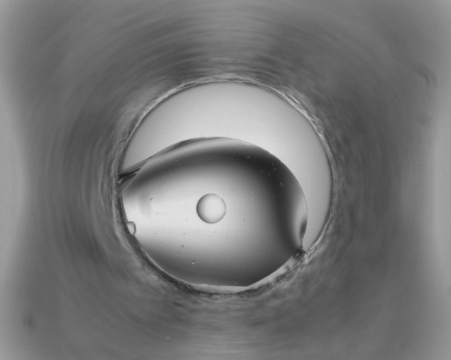 X0000113040097200909101927