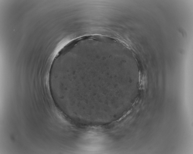 X0000113040099200909101927