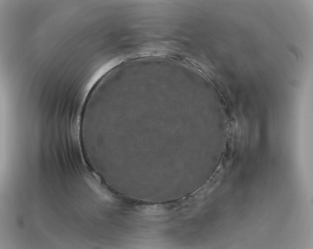 X0000113040100200909101926