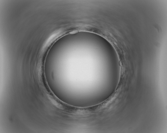X0000113040101200909101926