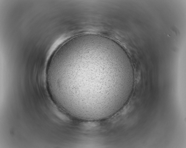 X0000113040102200909101926