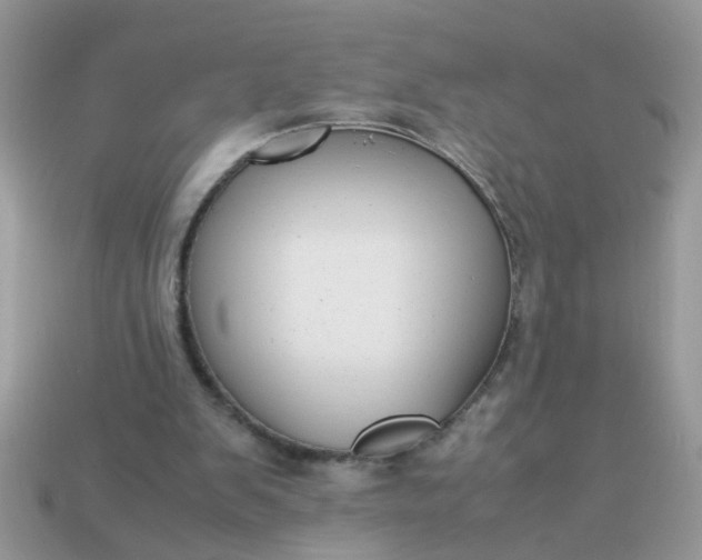 X0000113040103200909101926