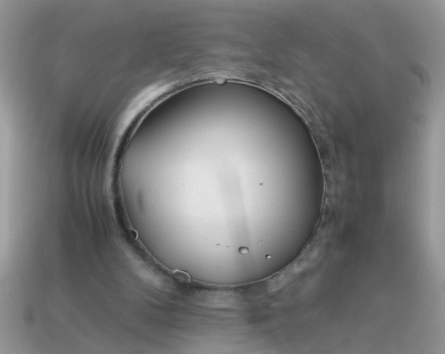 X0000113040104200909101926