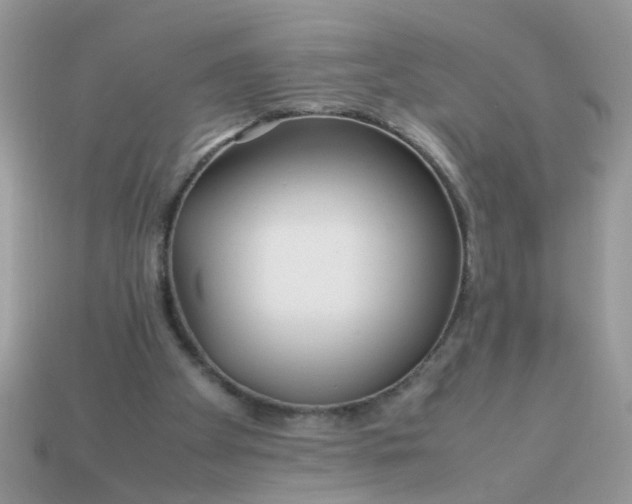 X0000113040105200909101926