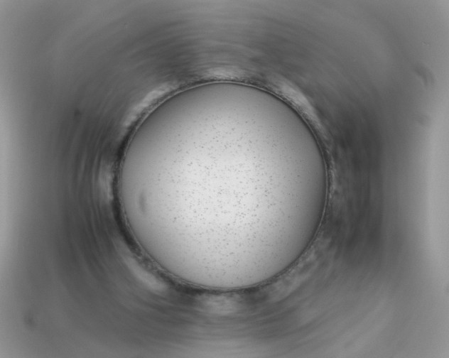 X0000113040106200909101926