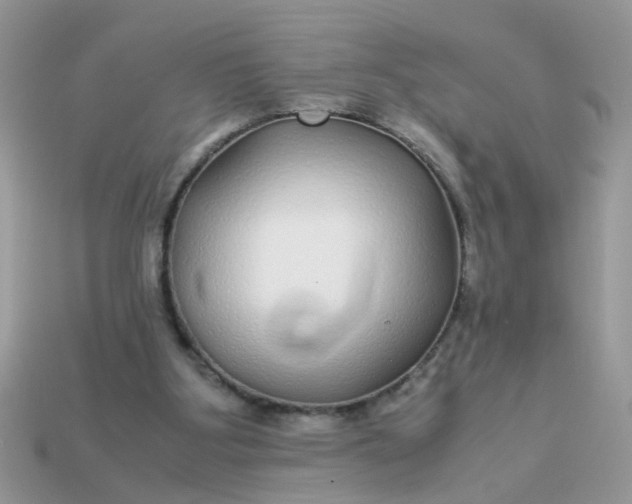 X0000113040107200909101926