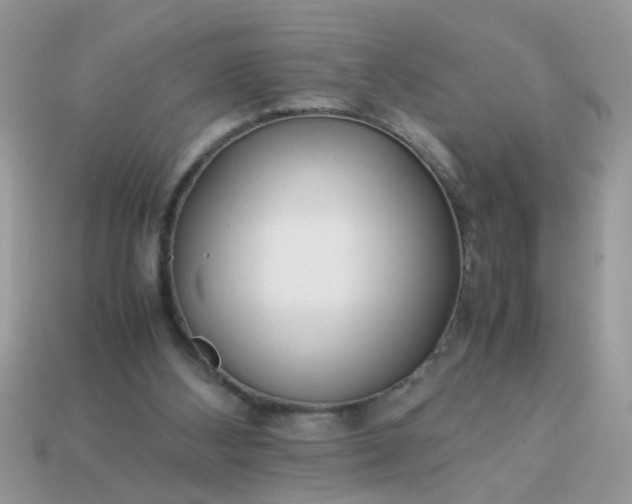 X0000113040108200909101926