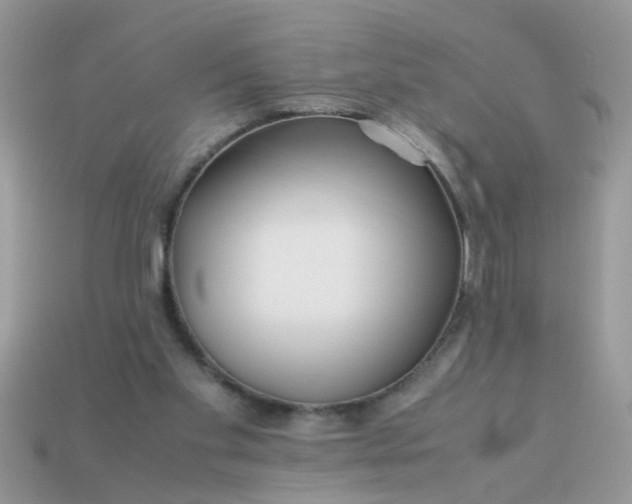 X0000113040109200909101926
