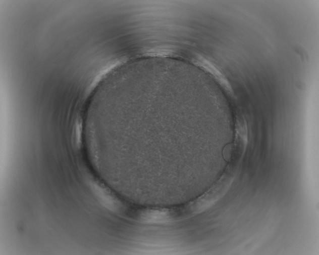 X0000113040110200909101926