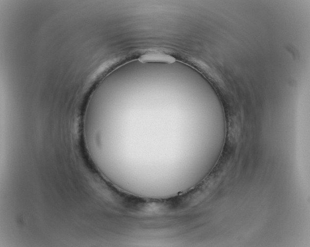 X0000113040111200909101926