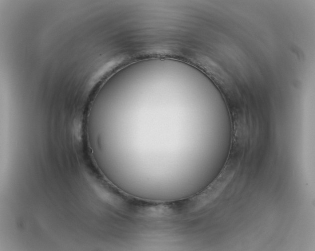 X0000113040112200909101926