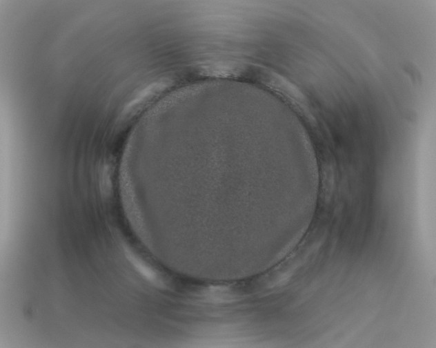X0000113040114200909101926