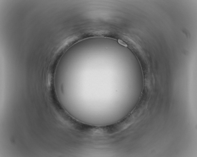 X0000113040115200909101926