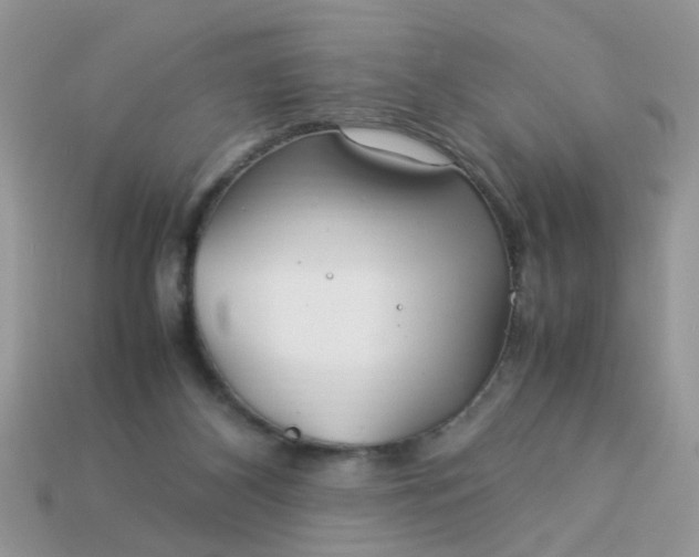 X0000113040116200909101926