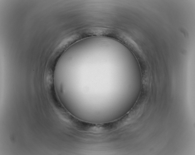 X0000113040119200909101926