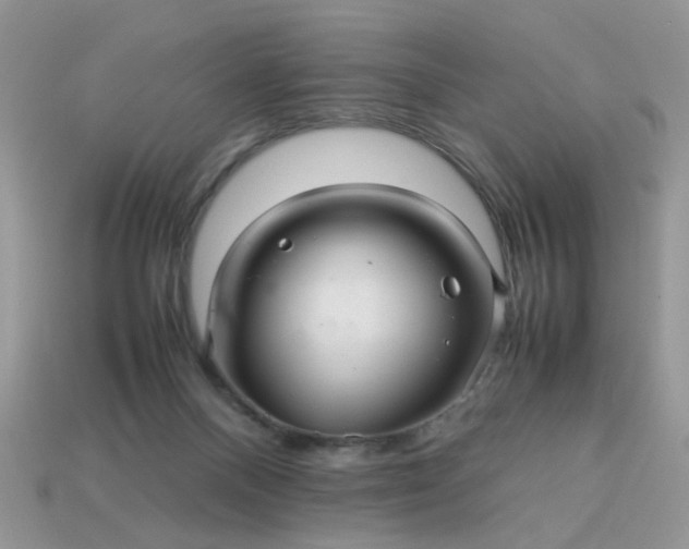 X0000113040120200909101926
