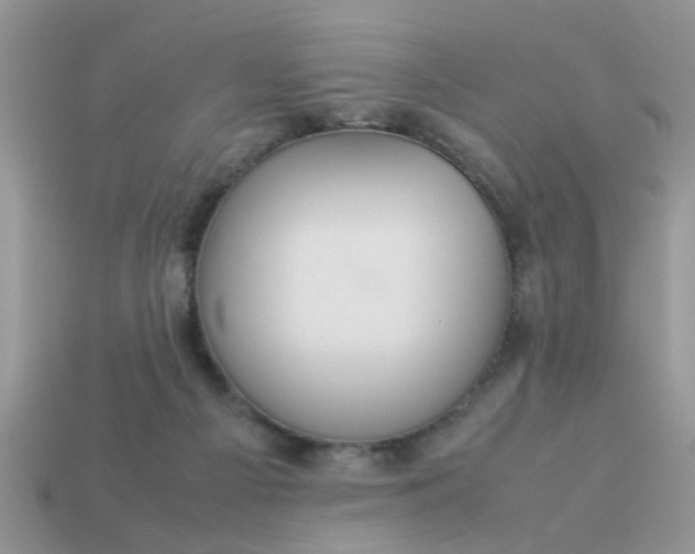 X0000113040121200909101926