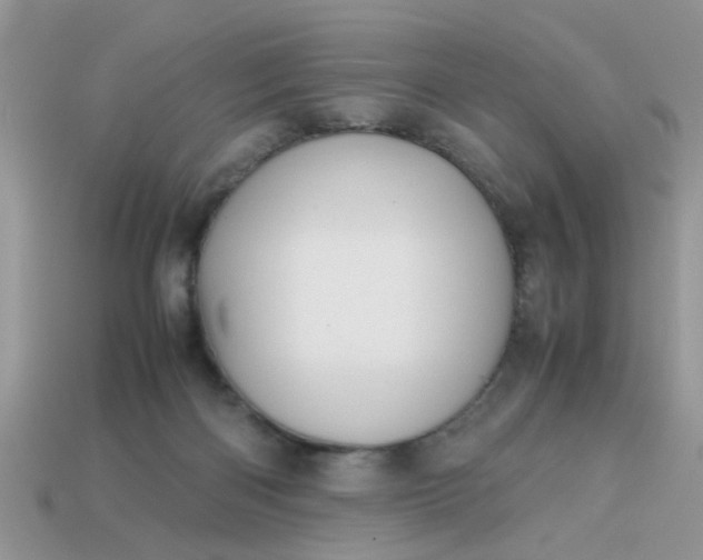 X0000113040122200909101926