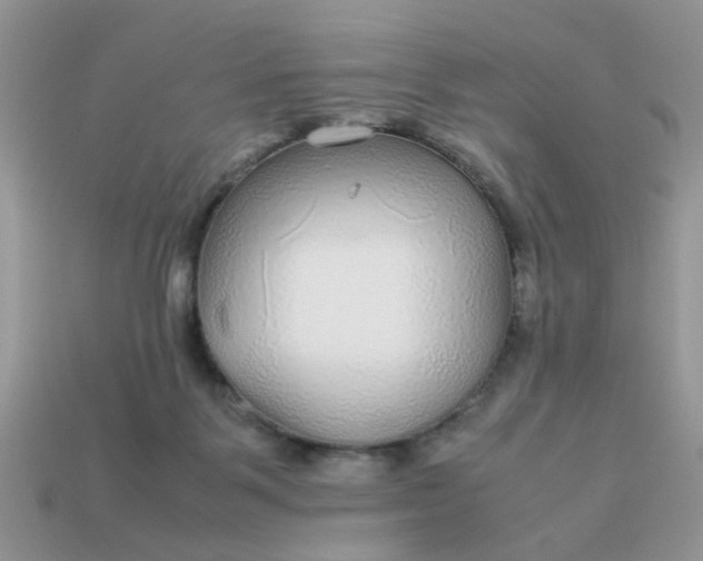 X0000113040123200909101926