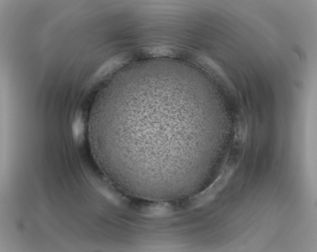 X0000113040124200909101926