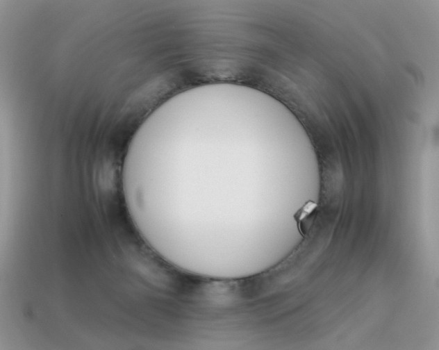 X0000113040126200909101926