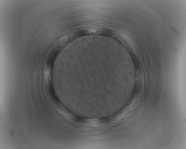 X0000113040127200909101926