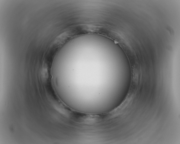 X0000113040128200909101926