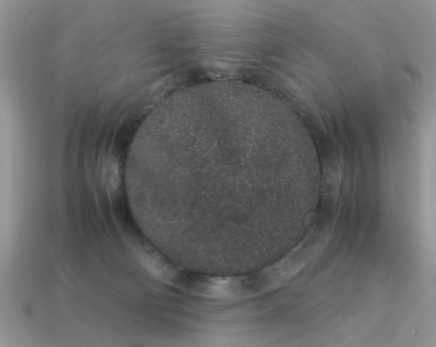 X0000113040130200909101926