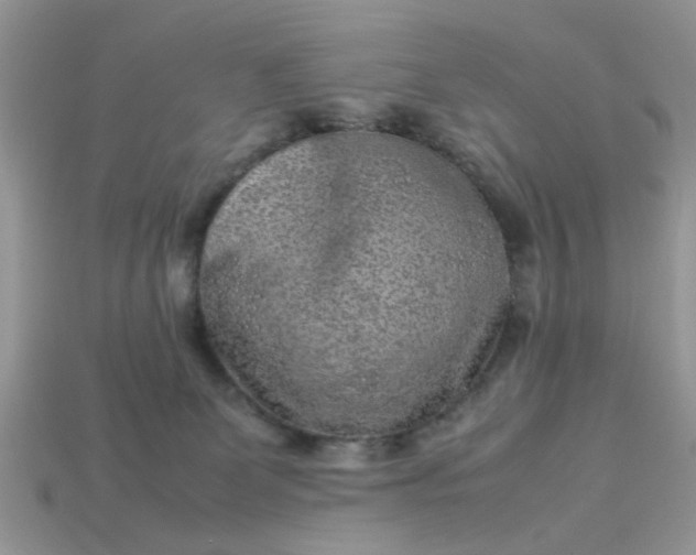 X0000113040131200909101926