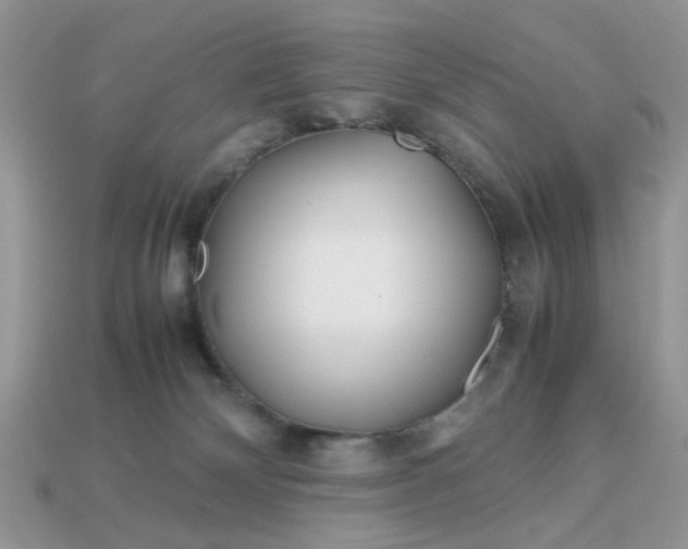 X0000113040132200909101926