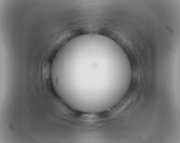 X0000113040133200909101926