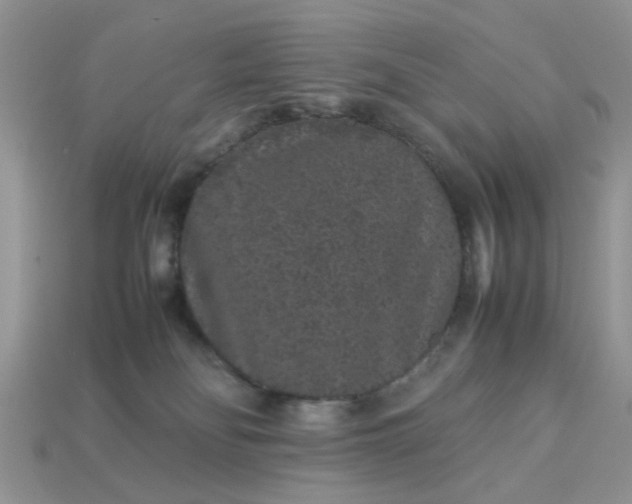 X0000113040134200909101926