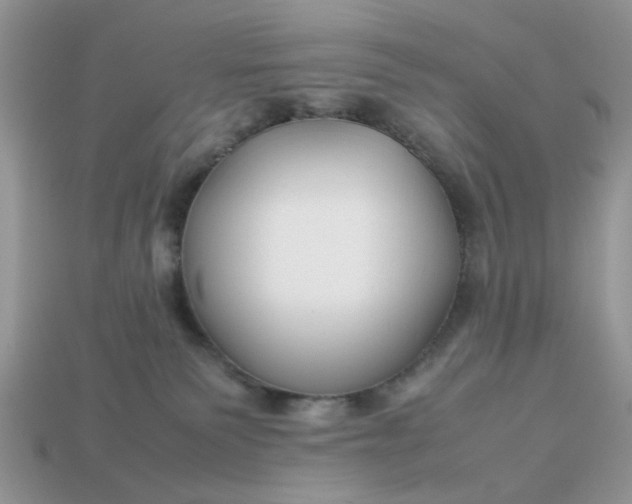 X0000113040135200909101926