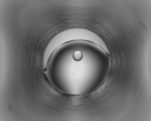 X0000113040136200909101926