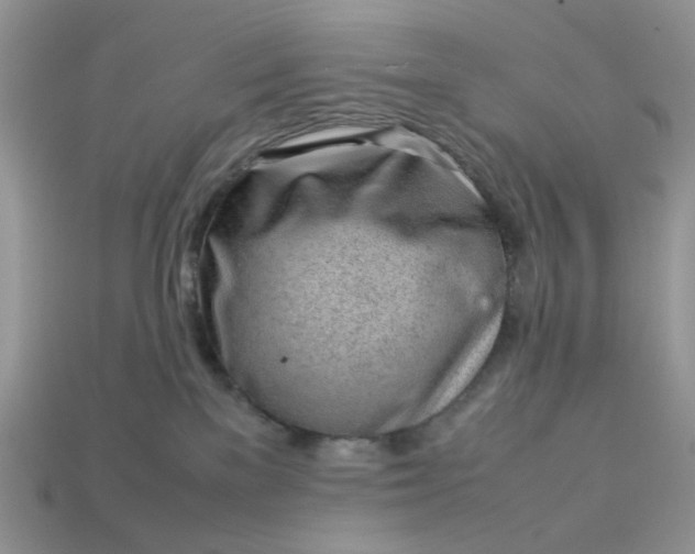 X0000113040137200909101926