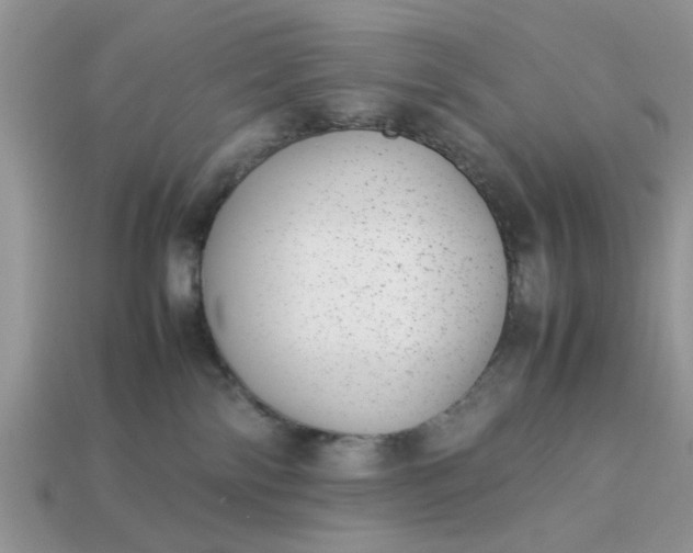 X0000113040138200909101926