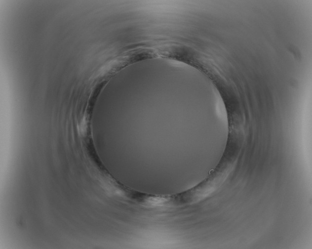 X0000113040139200909101926