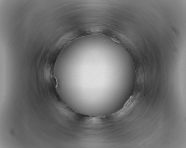 X0000113040140200909101926