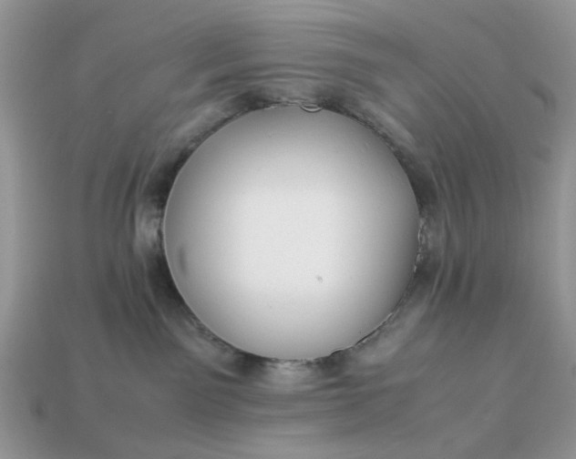 X0000113040141200909101926