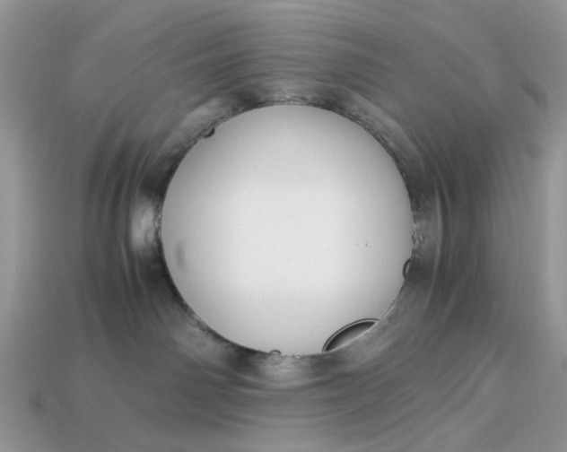 X0000113040142200909101926