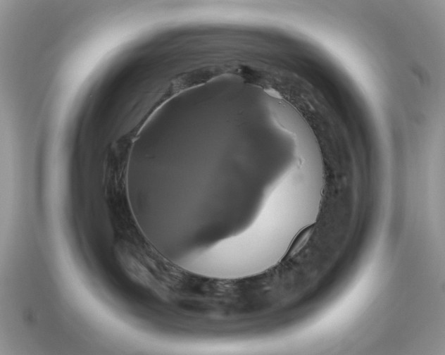 X0000113040143200909101926