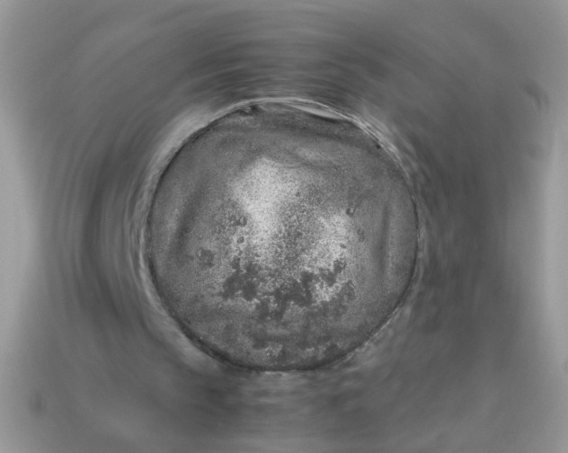 X0000113040145200909101925