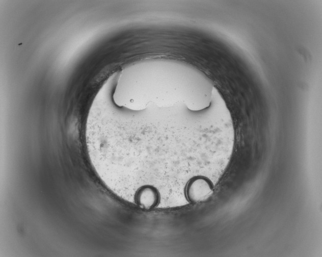 X0000113040146200909101925