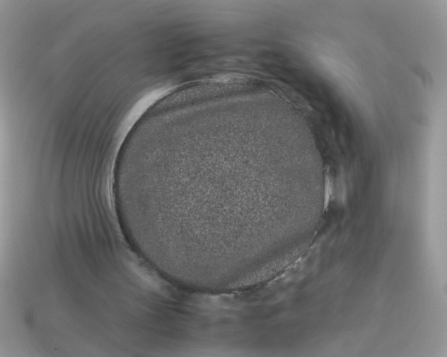 X0000113040147200909101925
